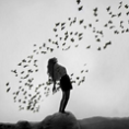 Avatar FLY